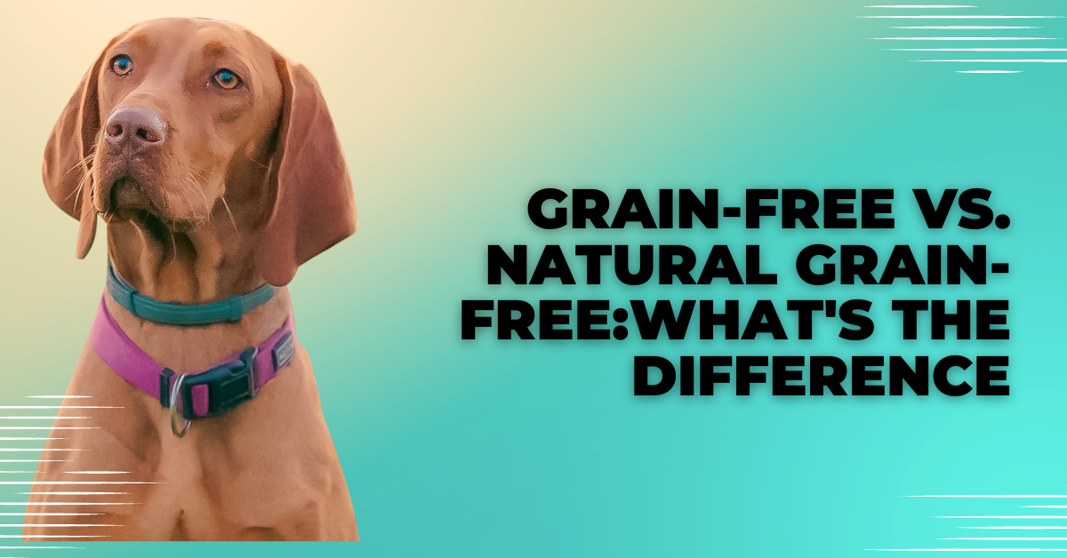 Grain-Free vs. Natural Grain-Free