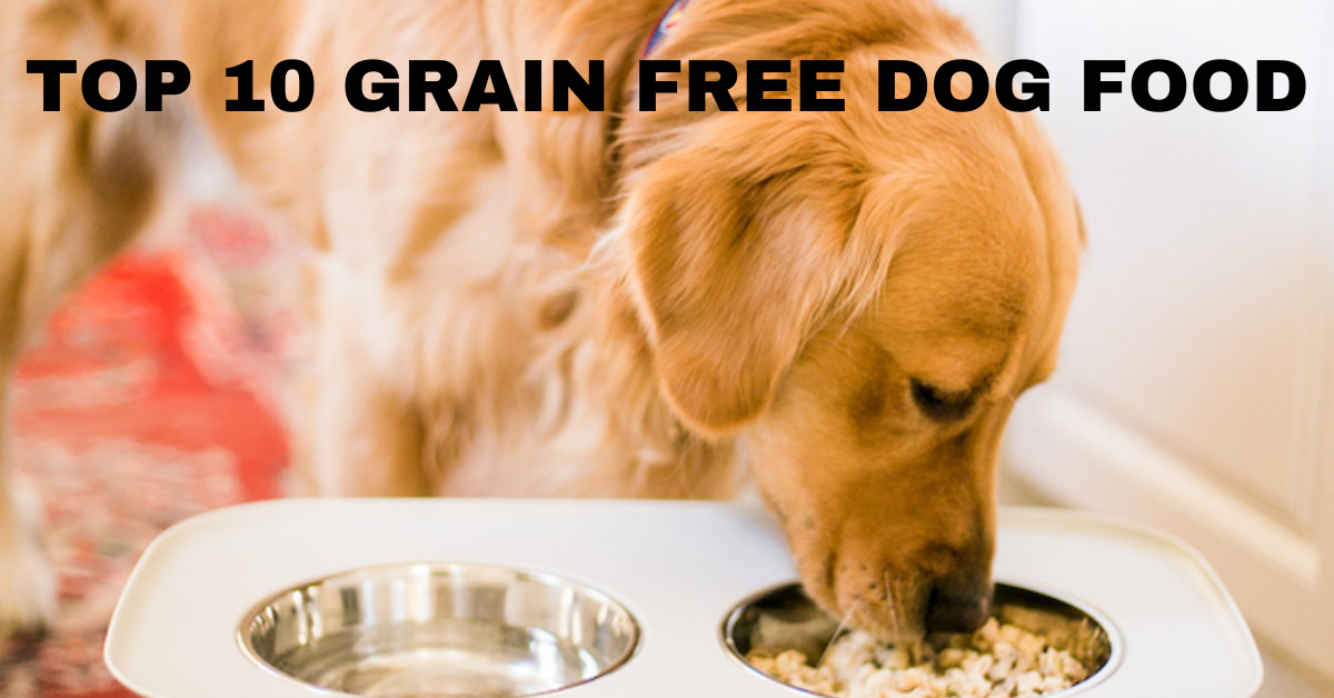 Top Grain-Free Dog Food Brands