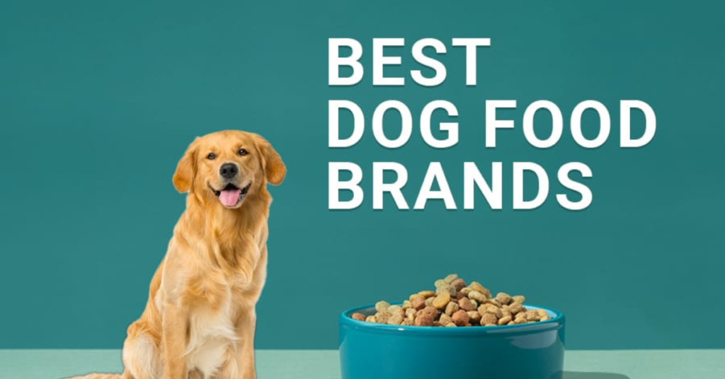 Best Grain-Free Dog Food Brands