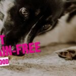 Natural Grain-Free Dog Food