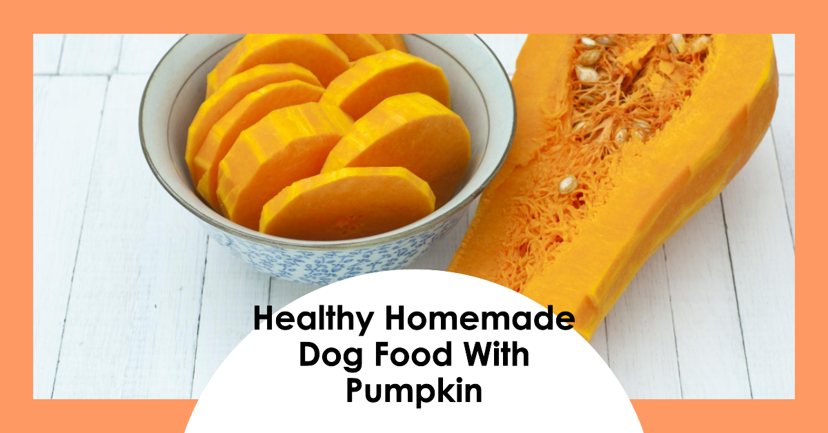 Dog Food with Pumpkin